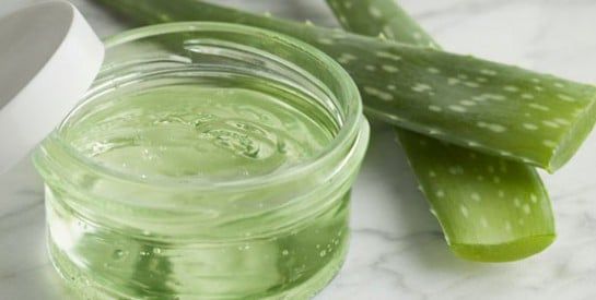 Le gel d’aloe vera