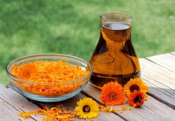 Le calendula