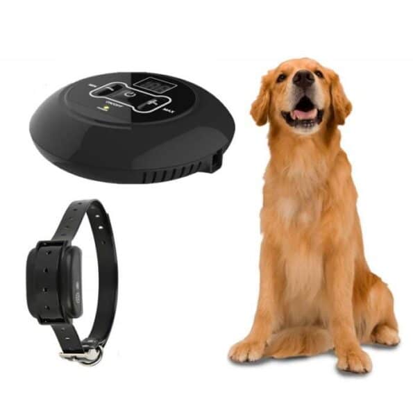Empêchez votre chien de s'enfuir avec le collier anti fugue
