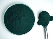 poudre de spiruline