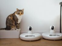 Des gamelles connectées avec cameras